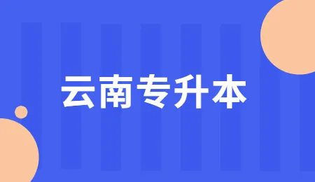云南省2023年普通高等学校专升本免试政策