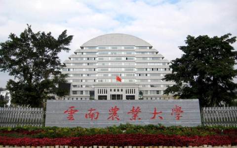云南农业大学2023年专升本免试方案