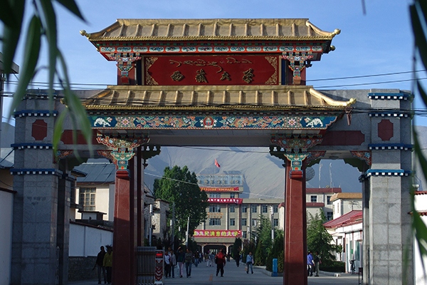 2023年西藏大学普通专升本招生简章