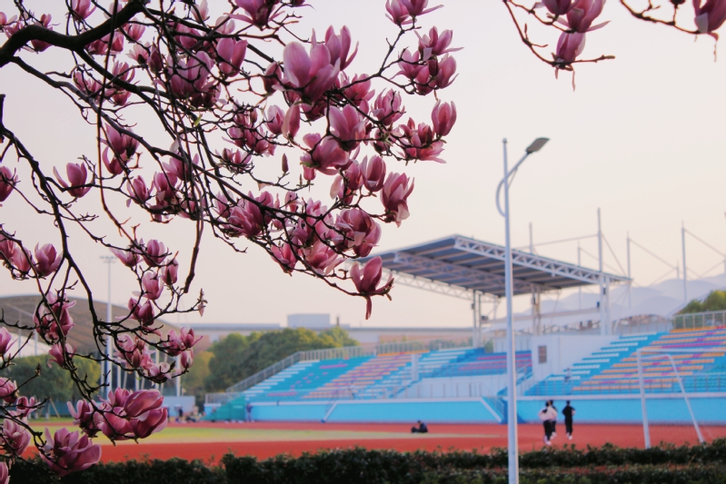 2023年衢州学院专升本招生专业及招生计划