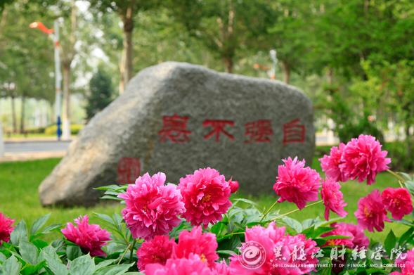 2023年黑龙江财经学院专升本各专业录取投档分数线