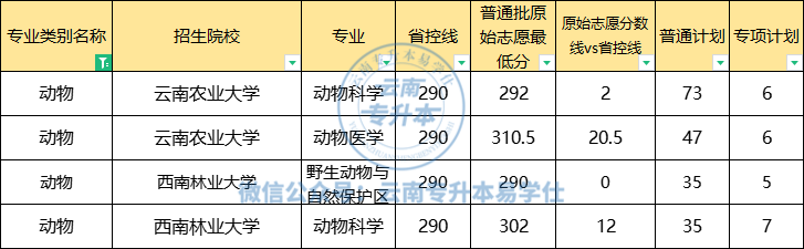 2023年云南专升本省控线在250分及以上的专业