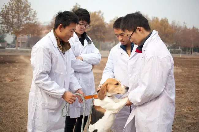 河南专升本畜牧兽医专业能报考哪些院校？