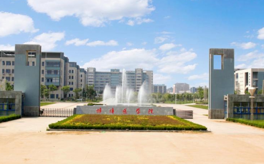 2024年蚌埠医科大学普通专升本各专业录取分数线