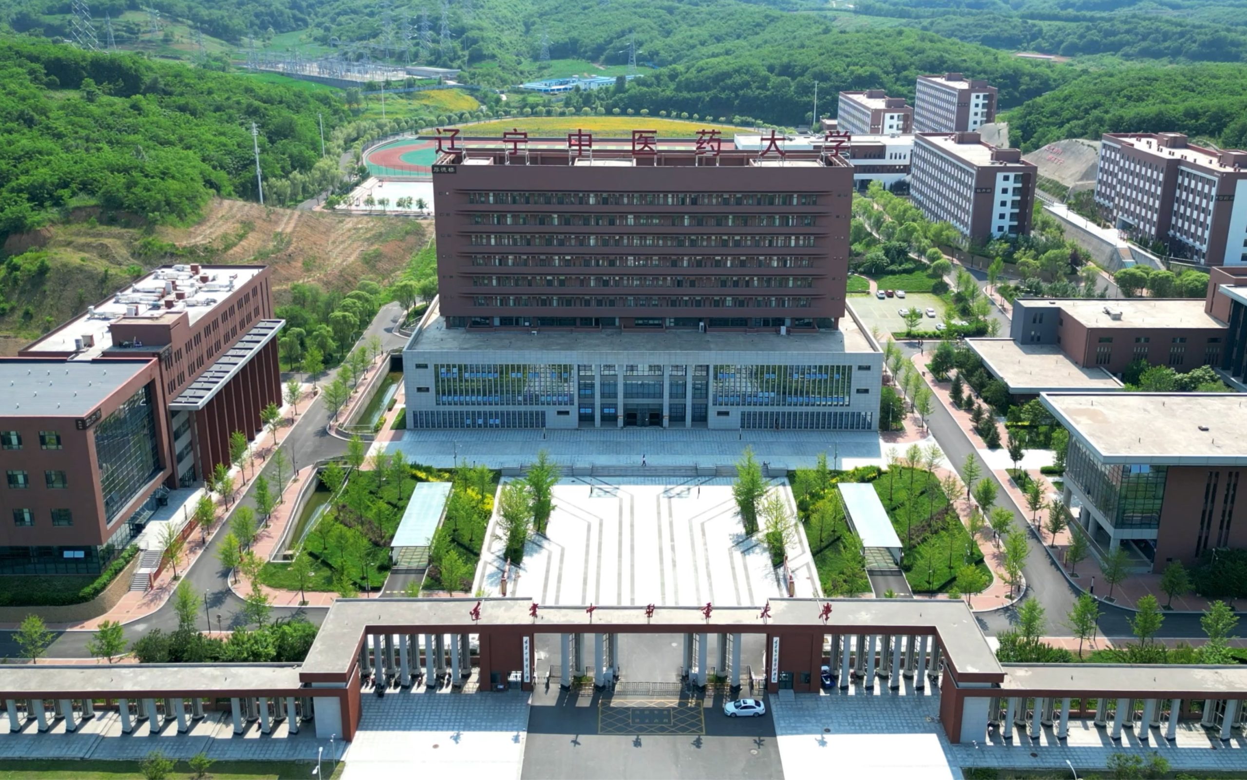 2025年辽宁中医药大学专升本各专业录取最低分数线